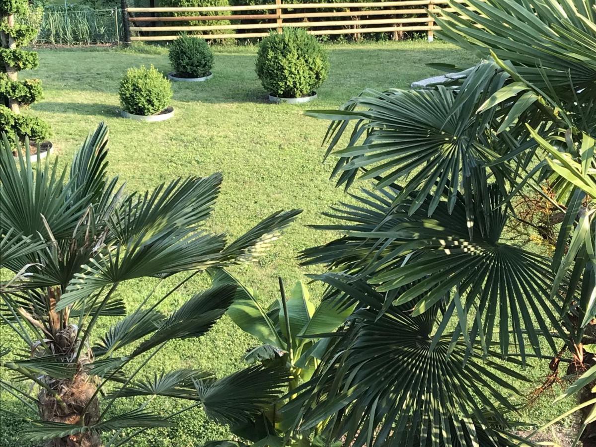 Ferienwohnung Palmengarten Lichtenstein  Экстерьер фото