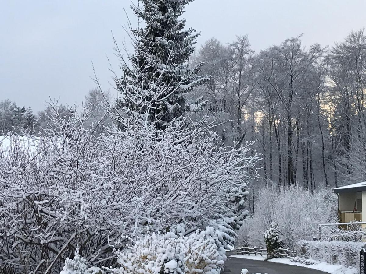 Ferienwohnung Palmengarten Lichtenstein  Экстерьер фото