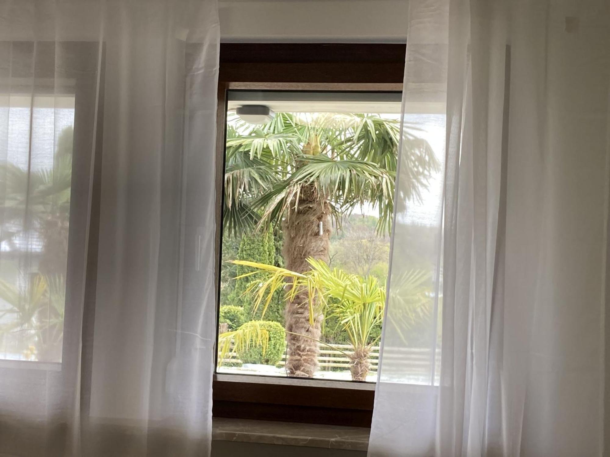 Ferienwohnung Palmengarten Lichtenstein  Экстерьер фото